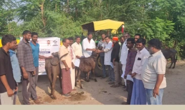 Bodhan: అంబం గ్రామంలో పశువైద్య శిబిరం నిర్వహణ