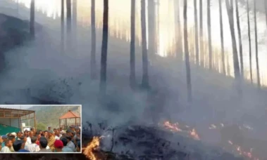 Uttarakhand News : बदरीनाथ हाईवे पर आग बुझाते समय फायर वाचर नेगी की खाई में गिरकर मौत, परिवार ने उठाई आवाज़