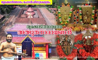 തൃക്കൊടിത്താനത്തെ അത്ഭുതനാരായണന്‍