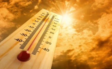 Maharashtra Reports Rising Heatstroke Cases as Temperature Hits 42°C