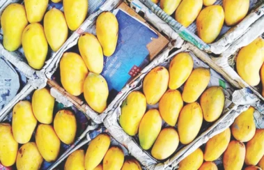 कलिंगडनंतर आता आंबा, अहिल्यानगरात आमरस खाल्ल्यानंतर 7 जाणांना विषबाधा