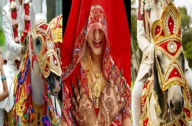 जब 2 दूल्हे पहुँच गए एक साथ . दुल्हन ने एक दूल्हे को पहनाई वरमाला, दूसरे के साथ रचाया ब्याह​​​​​​​​​