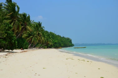 Land subsidence can amplify effects of rising sea levels in densely populated coastal regions: Study