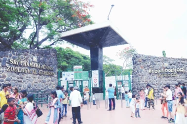 ಮಂಗಳವಾರವೂ ಮೈಸೂರು ಜೂ ವೀಕ್ಷಣೆಗೆ ಲಭ್ಯ