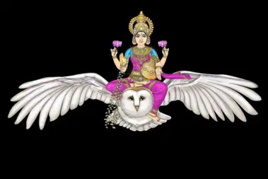 ମାଲକ୍ଷ୍ମୀ କାହିଁକି ପେଚା କୁ ବାଛିଥିଲେ ନିଜ ବାହାନ ଏବଂ କଣ ରହିଛି ଏହା ପଛରେ ପୌରାଣିକ କଥା