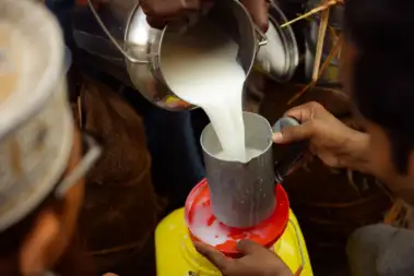 Extreme heat tests India's record milk production, threatens reduced yields, fertility