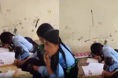 Viral Video: Class 9 Girl Brings 1.5-Year-Old Brother to School After Mother's Death, Internet Heartbroken