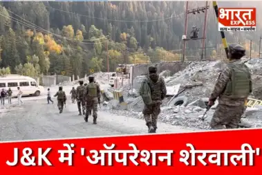जम्मू-कश्मीर में आतंकियों का खात्मा तय! राजौरी के घने जंगलों में सेना के 'ऑपरेशन शेरवाली' के मायने क्या?