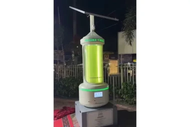 Bhopal Deploys Microalgae-Based Technology to Improve Urban Air Quality
