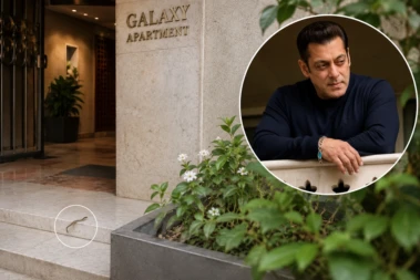 Five-Foot Long 'Dhamin' Snake Rescued From Salman Khan's Mumbai Residence