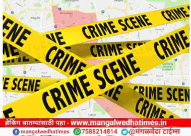 खळबळ! थेट तहसीलदारांनाच धमकावले; 'महा-ई-सेवा' केंद्र चालकाची मुजोरी, पोलीस ठाण्यात गुन्हा दाखल
