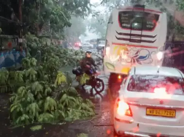 Weather                                                                                    কলকাতা সহ দক্ষিণবঙ্গে বৃষ্টি