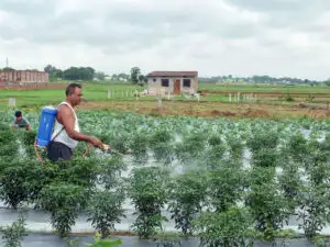 Monsoon uncertainty, price pressures to weigh on Indian agrochemical performance: Report