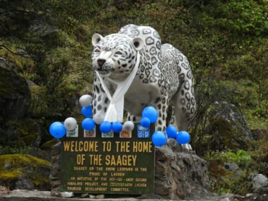 Sikkim to host national snow leopard event ahead of IBCA summit