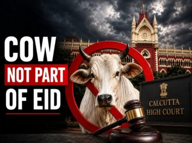 'Sacrificing Cow Not Part of Eid': Calcutta High Court Upholds Ban On Cattle Slaughter Ahead of Bakreid