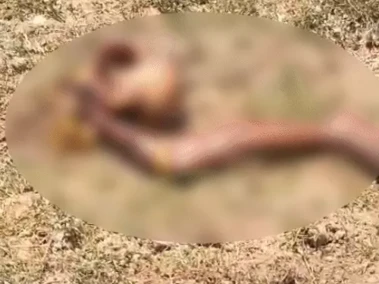 જૂનાગઢમાં માનસિક અસ્થિર મહિલાનું શંકાસ્પદ મોત, જંગલી પ્રાણીએ ફાડી ખાધી!