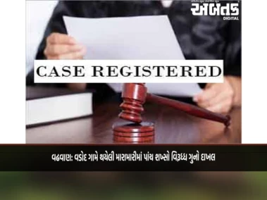 વઢવાણ: વડોદ ગામે થયેલી મારામારીમાં પાંચ શખ્સો વિરૂધ્ધ ગુનો દાખલ