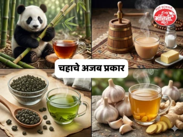 International Tea Day 2026: पांडा टी, गनपावडर टी.. हे आहेत चहाचे अजब प्रकार!