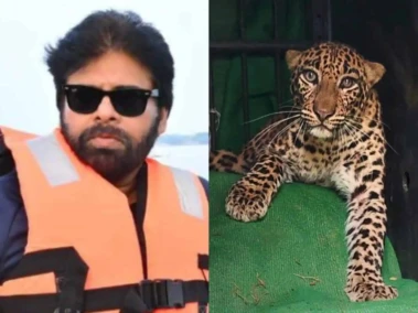 Pawan's HANUMAN Begins With Cheetah Operation