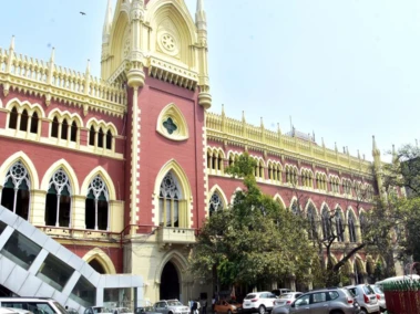 Calcutta HC refuses to stay West Bengal govt's notice on cow slaughter ban