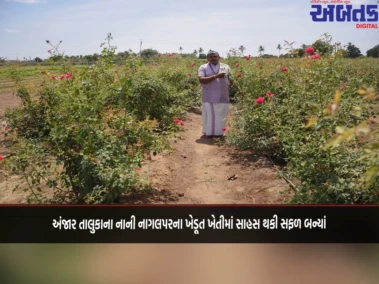 અંજાર તાલુકાના નાની નાગલપરના ખેડૂત ખેતીમાં સાહસ થકી સફળ બન્યાં