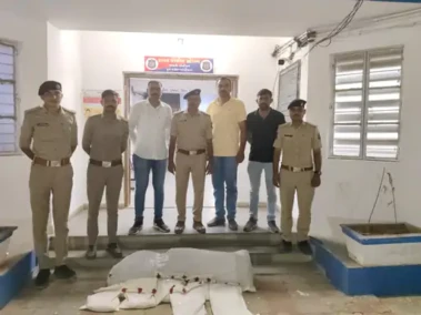 રાપરના મંદિર પરિસરમાંથી ગાંજાનું વાવેતર ઝડપાયું, પૂજારીની ધરપકડ