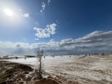Caught off-guard: Unseasonal hailstorms, rain wipe out entire fields in Rajasthan, Punjab days before harvest