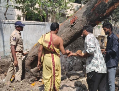 Begumpet traffic police relocate 40-year-old tree near Shyamlal junction to ease congestion