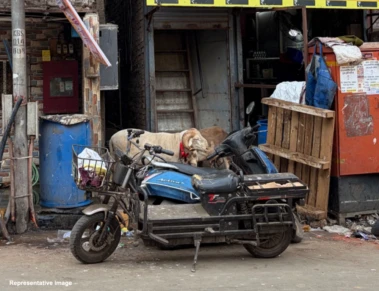 HC seeks strict action on pavement encroachments, illegal parking in Hyderabad