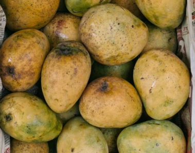 In pictures: From Himsagar to Alphonso, mangoes take over Kolkata's Mechua market