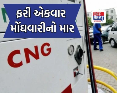 ફરી એકવાર વાહનચાલકોની મુશ્કેલી વધી!: દિલ્હી-NCR સહિત દેશના મુખ્ય શહેરોમાં માત્ર 11 દિવસમાં CNG પ્રતિ કિલો રૂ.5 મોંઘું થયું