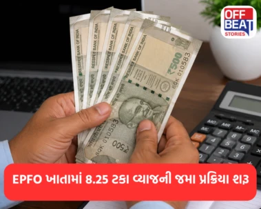 EPFO ખાતામાં 8.25 ટકા વ્યાજની જમા પ્રક્રિયા શરૂ: પ્રોવિડન્ટ ફંડમાં વ્યાજ જમા થયું કે નહીં? ઘરે બેઠા આ રીતે કરો ઓનલાઈન ચેક