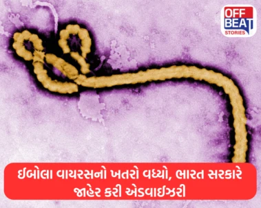 ઈબોલા વાયરસનો ખતરો વધ્યો, ભારત સરકારે જાહેર કરી એડવાઈઝરી: દેશના દરેક એન્ટ્રી પોઈન્ટ પર થશે સ્ક્રીનિંગ