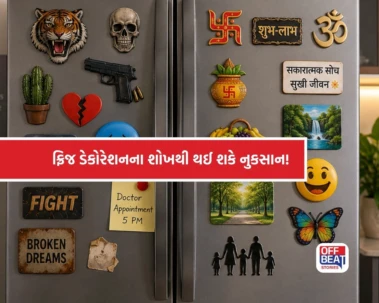 ફ્રિજ ડેકોરેશનનો શોખ બની શકે છે દુર્ભાગ્યનું કારણ!: આવી વસ્તુઓ લગાવી તો થઈ જશો કંગાલ! જાણો વાસ્તુશાસ્ત્રનું ચોંકાવનારુ રહસ્ય