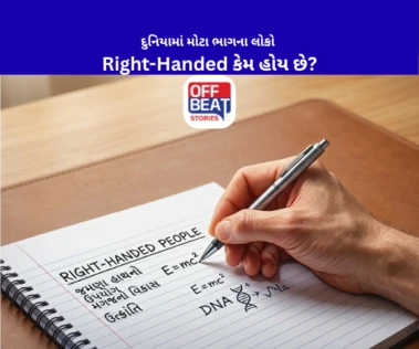 દુનિયામાં મોટા ભાગના લોકો Right-Handed કેમ હોય છે?: જાણો તેના પાછળનું રસપ્રદ વિજ્ઞાન