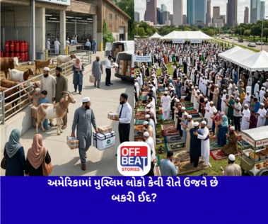 અમેરિકામાં મુસ્લિમ લોકો કેવી રીતે ઉજવે છે બકરી ઈદ?: શું ત્યાં પણ ઘરમાં થાય છે બકરાની કુરબાની?