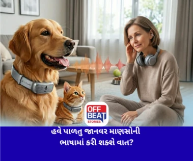 હવે પાળતુ જાનવર માણસોની ભાષામાં કરી શક્શે વાત?: ચીનની કંપનીએ લોન્ચ કર્યો AI Collar, ટેક્નોલોજી જોઈ લોકો આશ્ચર્યમાં