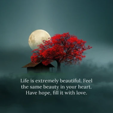 Life is extremely beautiful...
