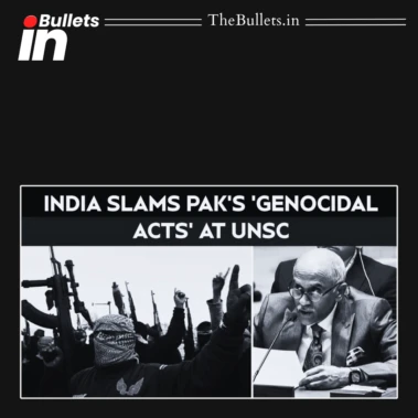 UNSC में भारत का पाकिस्तान पर तीखा हमला, आतंकवाद और नागरिकों पर हमलों का लगाया आरोप | BulletsIn