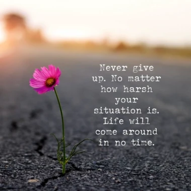Never give up…
