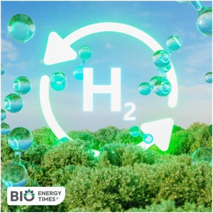Researchers develop lower-cost technology to support green hydrogen and bioenergy transition
