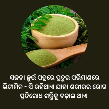 ଜାଣିଛନ୍ତି କି ସଜନା ଶରୀର ପାଇଁ କେତେ ଉପକାରୀ ହୋଇଥାଏ !!