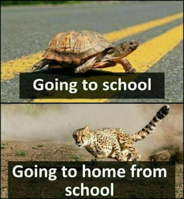 Going to school vs Home🤣🤣