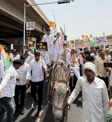 Congress stages horse-cart protest in Gurugram over fuel price hike, NEET paper leak