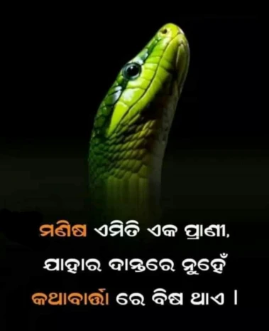 ମଣିଷ ଏମିତି ଏକ ପ୍ରାଣୀ ଯାହାର ଦାନ୍ତରେ ନୁହେଁ ବରଂ କଥାରେ ବିଷ ଥାଏ !!