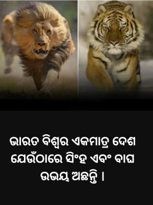 ବିଶ୍ୱର କେଉଁ ଏକମାତ୍ର ଦେଶ ଯେଉଁଠାରେ ବାଘ ଏବଂ ସିଂହ ଉଭୟ ଦେଖାଯାଆନ୍ତି??