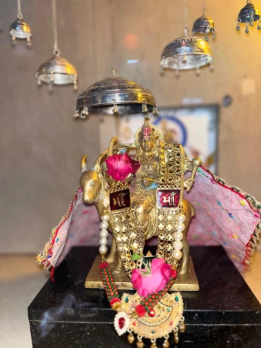 લીલીયા ઝાપાની મેલડી મંદિરે ડાક ડમરૂ કાર્યક્રમનું આયોજન