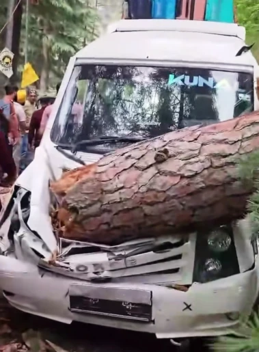 Close shave for tourists as tree crashes onto vehicle in Kullu