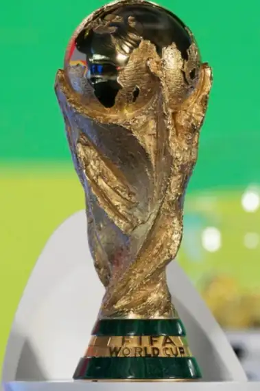 Will Fans in India Finally Get to Watch FIFA World Cup? Zee All Set to Broadcast Mega Event