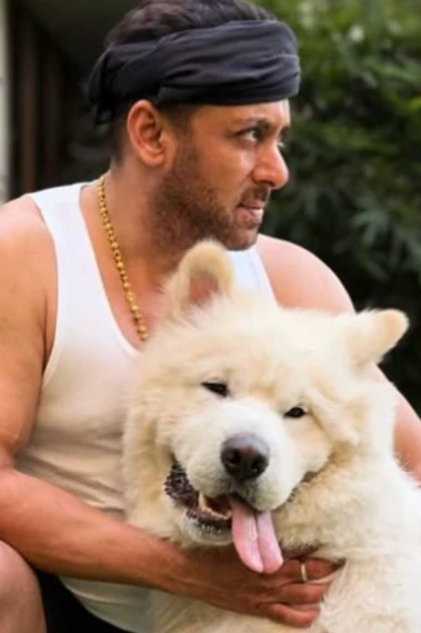 'Chill Maro Yaar' Salman Khan Assures Worried Fans After Cryptic 'Lonely' Post Goes Viral